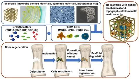  Hydroxyapatite: Une Biomatériau Minéral pour la Régénération Osseuse Révolutionnaire !