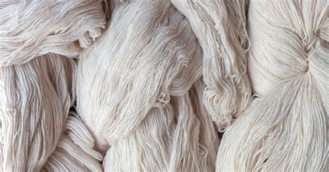  Viscose: La fibre qui danse et façonne nos vêtements !